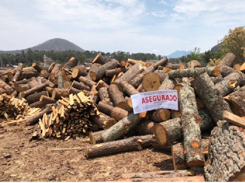 Tiene Quintana Roo "Ejército de 197 vigilantes ambientales"