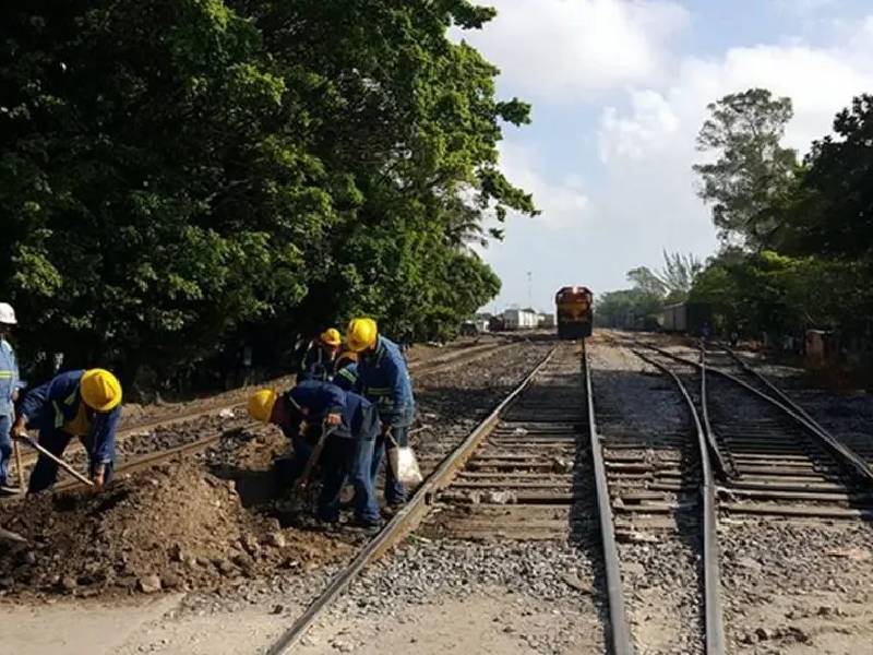 Se manifiestan contra deforestación por Tren Maya