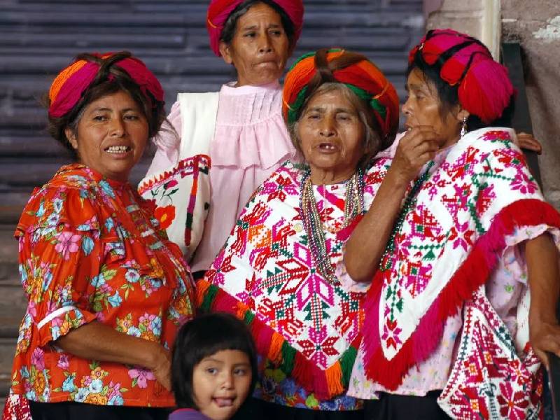 Ausencia de peritos de habla indígena en procaduría a agraria