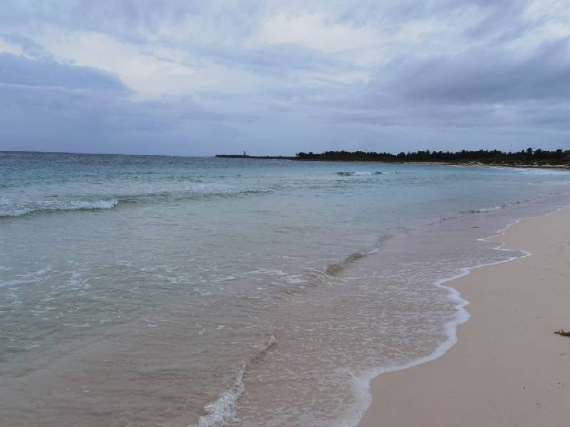 Frente frío aleja el sargazo de Q. Roo