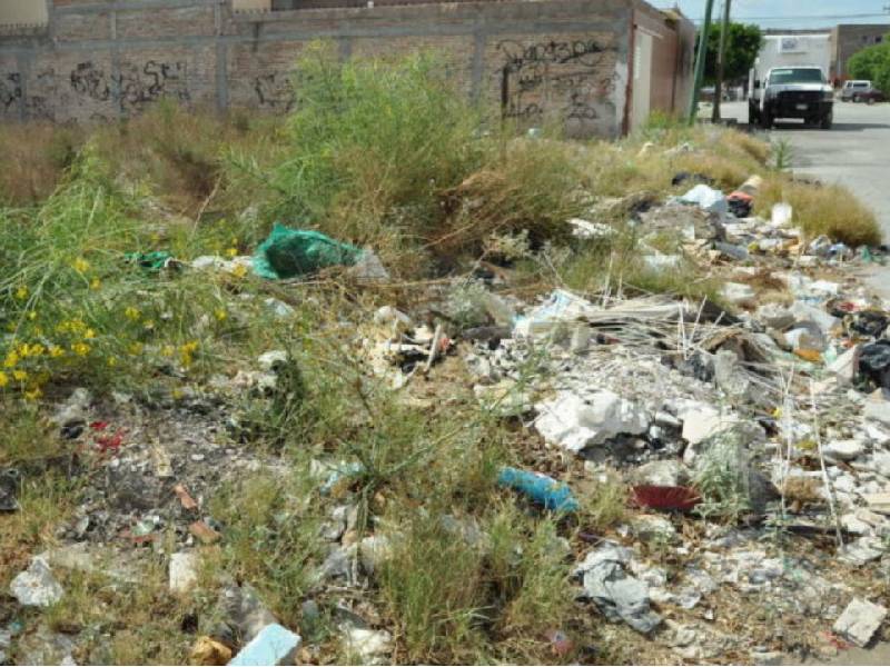 Ya no habrá servicio de limpieza para lotes baldíos