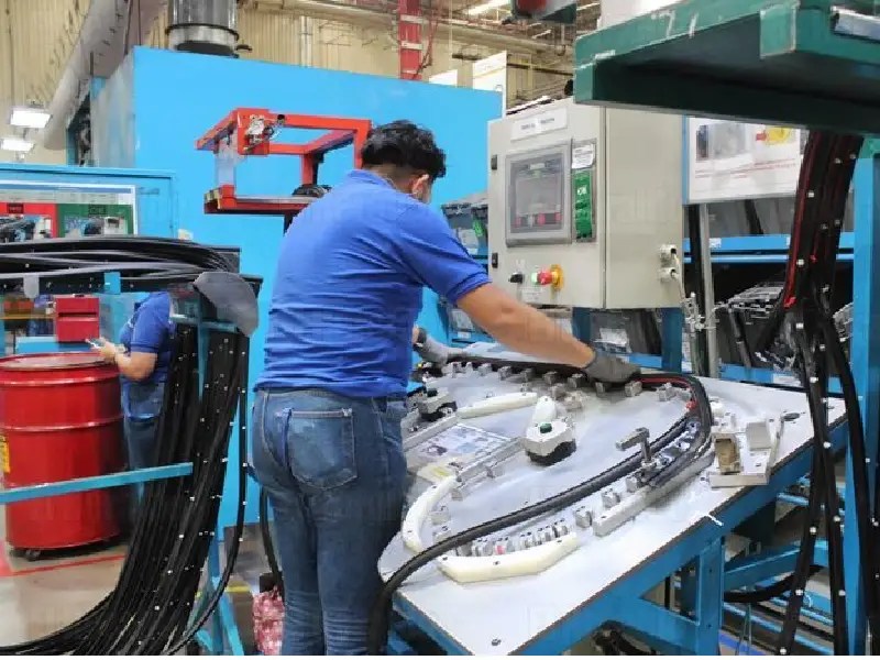 Se recupera PIB tras pandemia