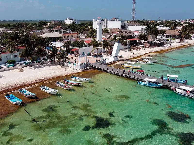 El arribo masivo de sargazo impacta a los cenotes de Puerto Morelos