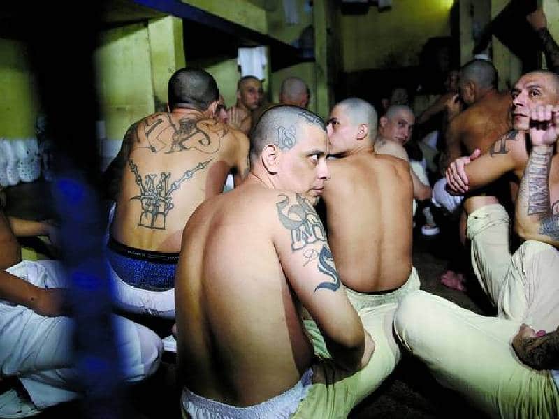Amagan con llegar a México pandilleros de la Mara Salvatrucha
