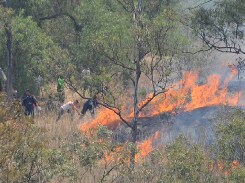Van tres incendios forestales en Benito Juárez