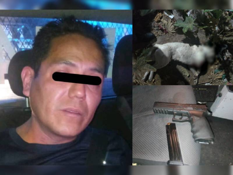 A disparos, matan a perrito pitbull