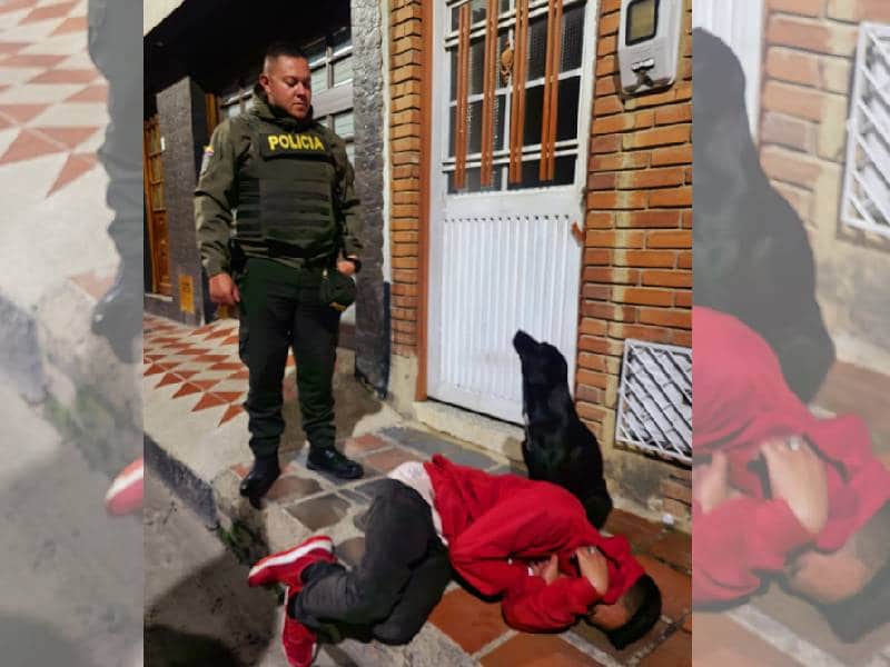 ¡Un amigo muy fiel! Perrito cuidó a su dueño borracho incluso de la ley