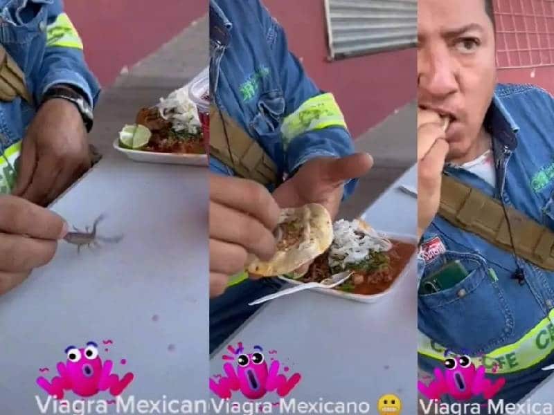 ¡Qué valor!: Empleado de CFE degusta un taquitoÔÇª¡de alacrán vivo!