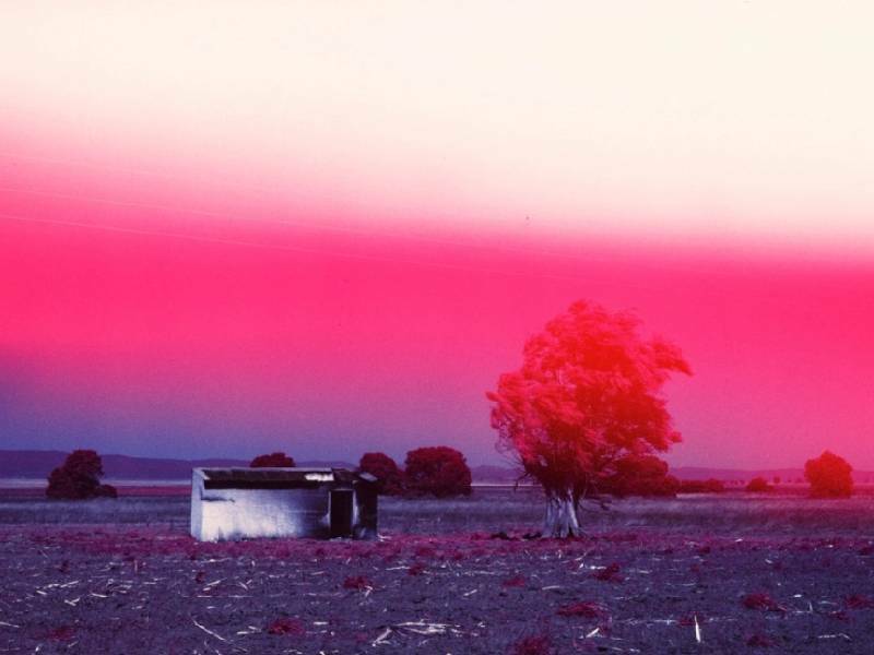 Fotógrafos mexicanos, ganadores indiscutibles