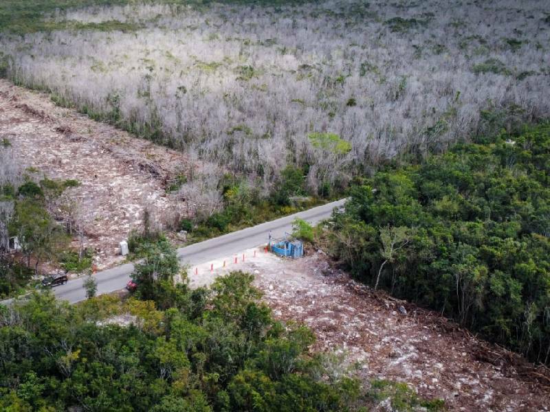 AMLO reconoce amparo contra tramo 5 del Tren Maya
