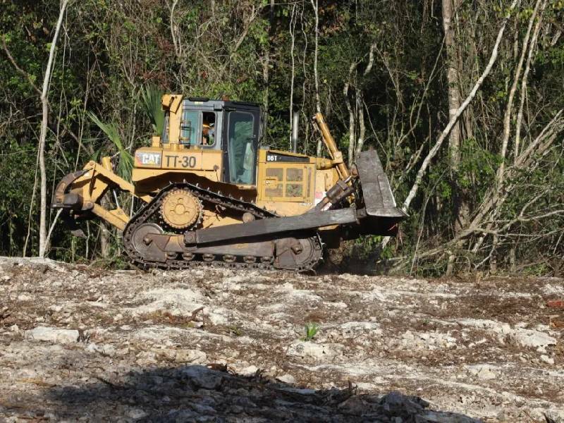 Descarta AMLO reunión con ambientalista en Tramo 5 del Tren Maya