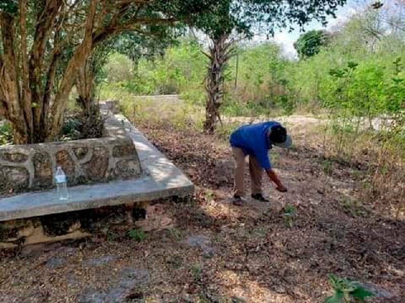 Fomentan ecoturismo en comunidades de José María Morelos