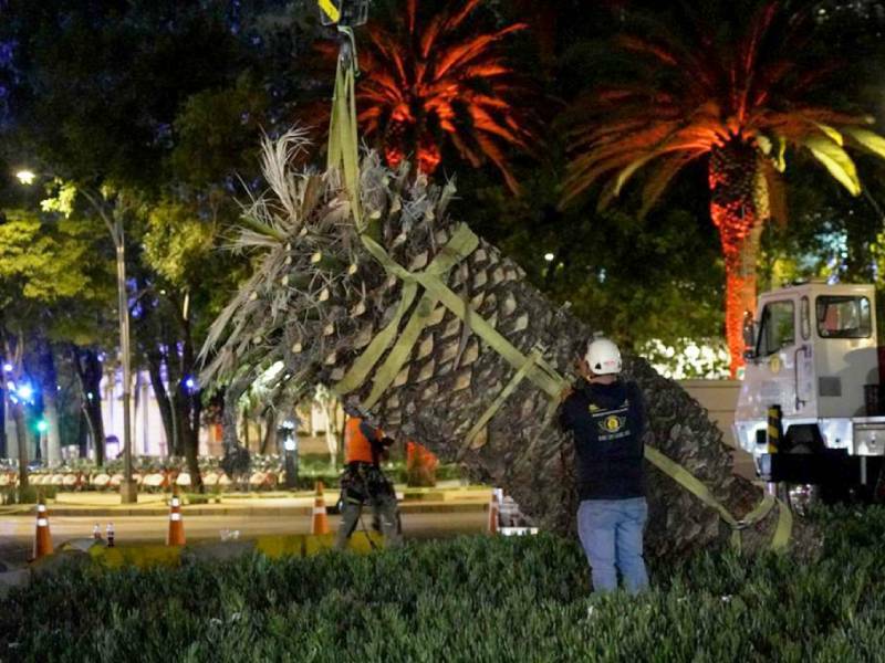 Supervisa Sheinbaum retiro de la Palma