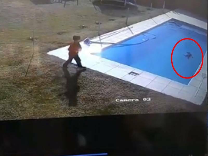 VIDEO: Niño salva a su perrito de morir ahogado en una alberca