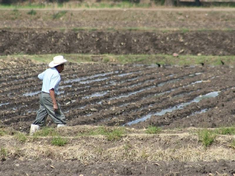 Fortalece federación procuradoría en Q. Roo por Tren Maya