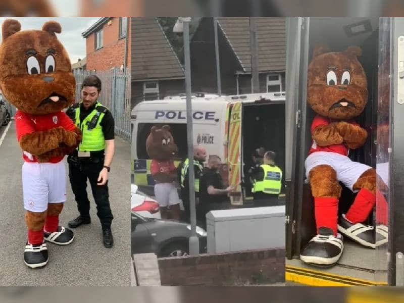 Video. Tan mal va el equipo que hasta arrestaron a la mascota