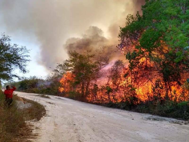 Continúa trabajando con la prevención de incendios forestales