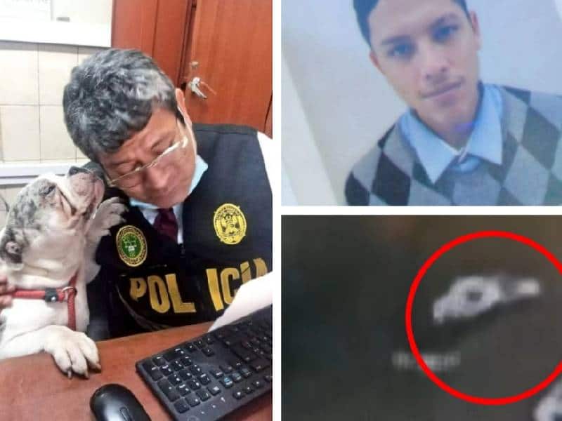 Sujeto golpea brutalmente a perro en un condominio