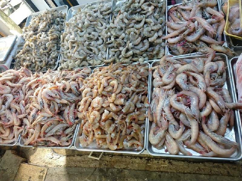 Aumentan males estomacales tras consumo de mariscos