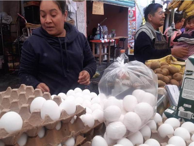 Incrementará el precio del huevo