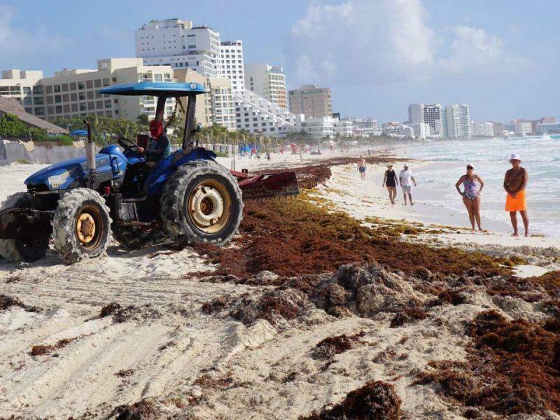 En vigilancia la utilización de maquinaria y destino final del sargazo
