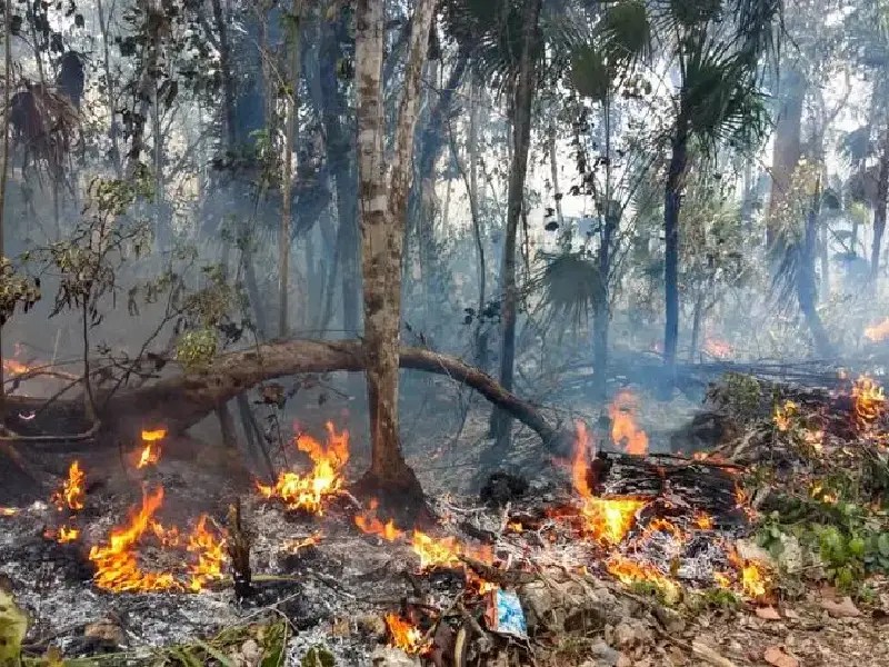 Se mantiene alerta ante la posibilidad de iniciar incendios forestales