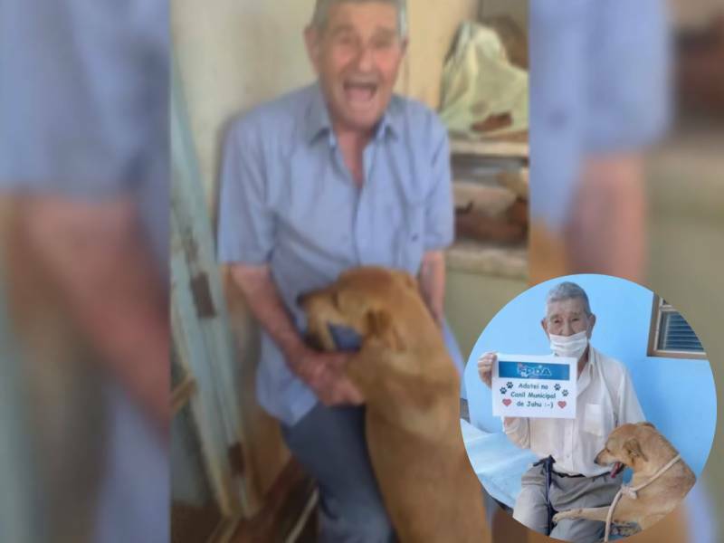 abuelito adopta perrita