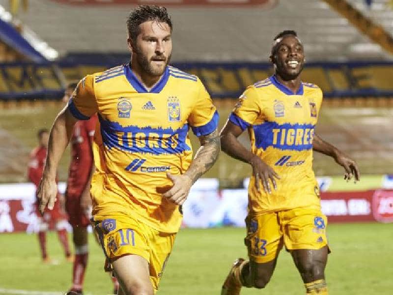 tigres golea