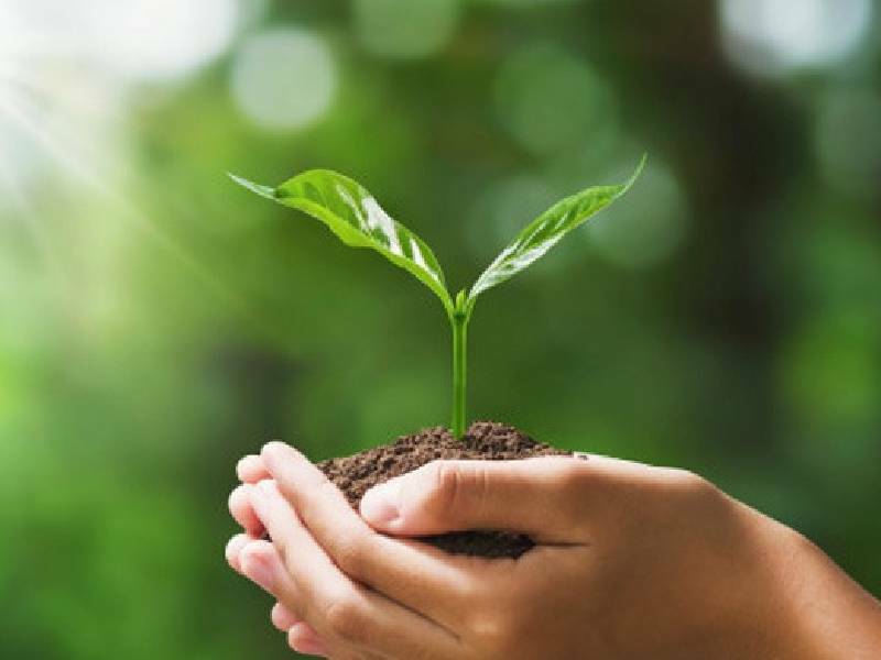 Aguakan promueve el cuidado del agua