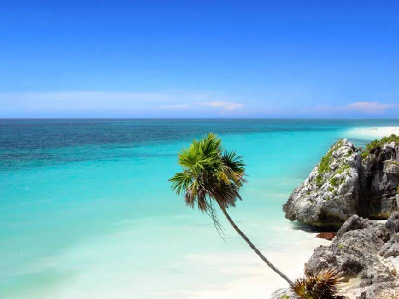 Caribe Mexicano, ejemplo de éxito