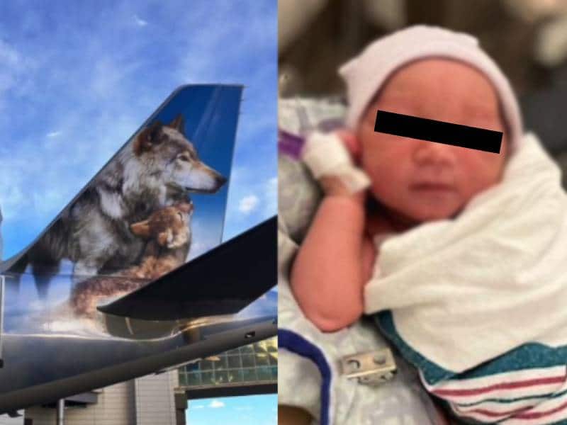 Como de película, un bebé nace en pleno vuelo con apoyo de los sobrecargos