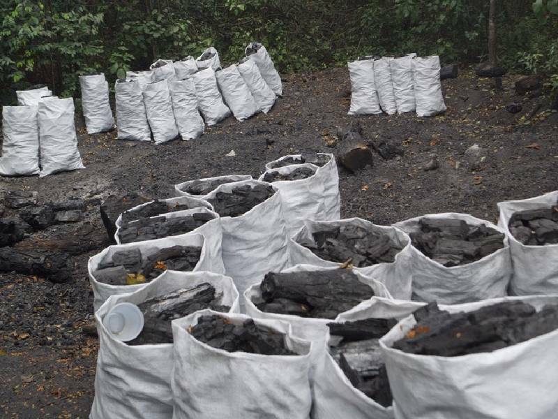 Aumentan ventas de carbón en Lázaro Cárdenas tras fase más intensa de la pandemia