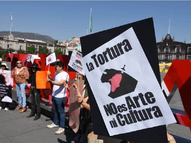 Ley de Bienestar Animal sigue en análisis