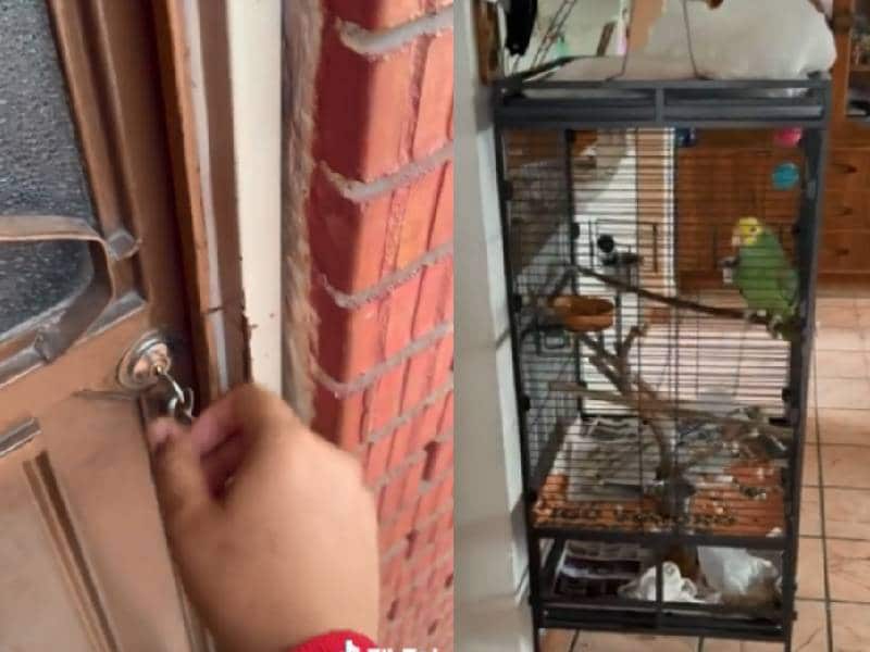 Perico mantiene 30 minutos a testigos de Jehová pensado que alguien saldría
