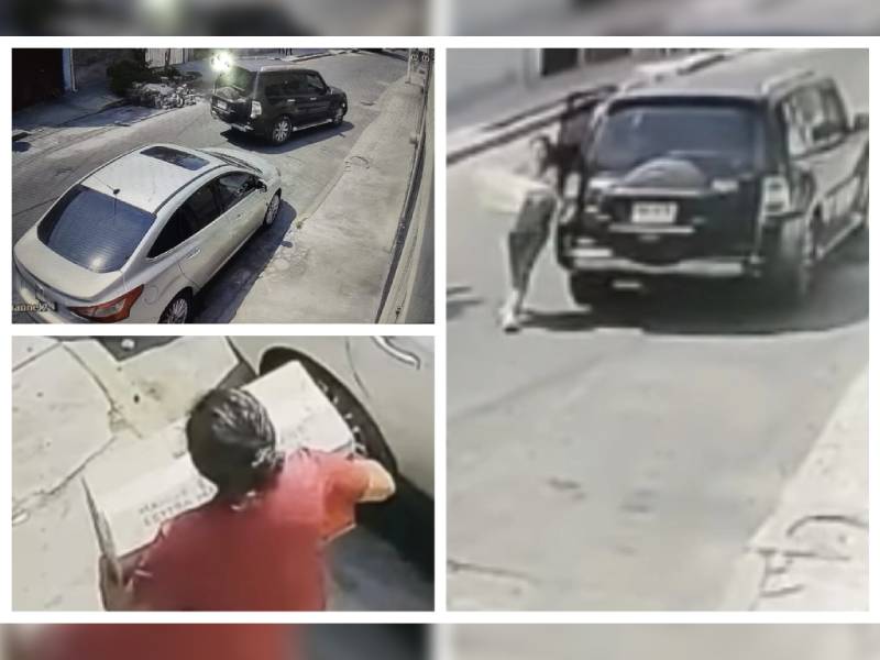 VIDEO: Exhiben a mujer abandonando perritos en una caja; murieron por el calor