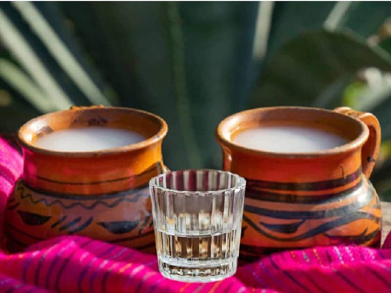 Comunidad de Tula alista su primer Festival del Pulque y Gastronomía