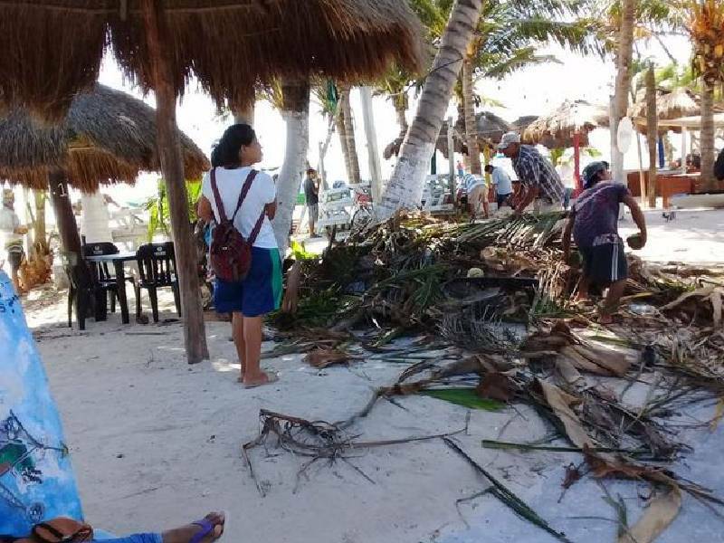 Continúan limpiando playas en Mahahual