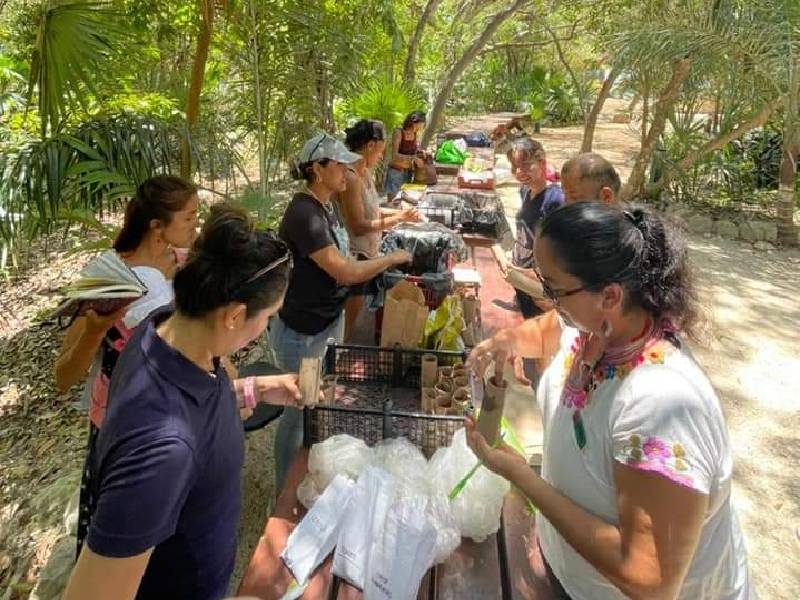 Realizan en Solidaridad programa de Producción de Alimentos Orgánicos