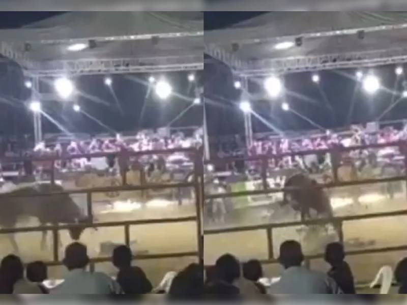 Imágenes fuertes: Jinete es aplastado por un toro durante jaripeo