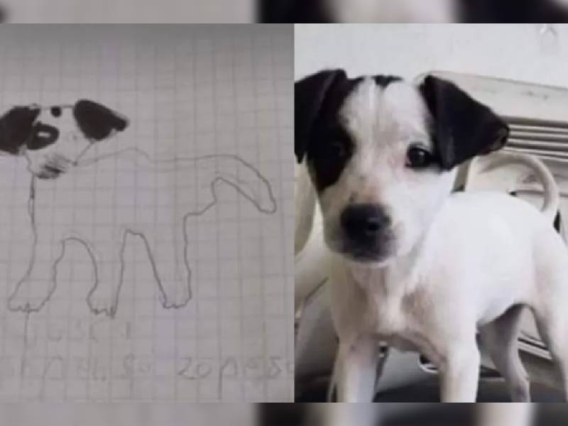 ¡Awww! Niñas buscan a su perrito con dibujo y 20 pesos