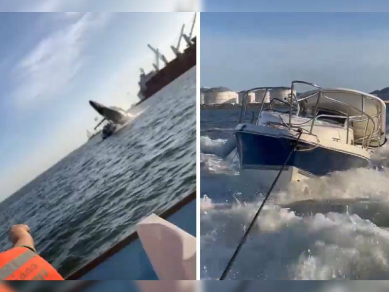 VIDEO: Ballena impacta lancha; deja dos personas heridas
