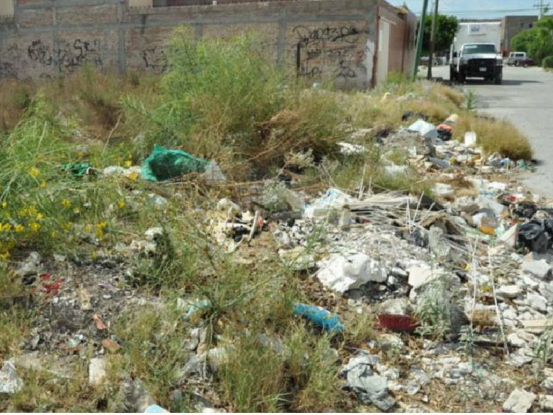 Realizan verificación de terrenos baldíos asentados en Chetumal