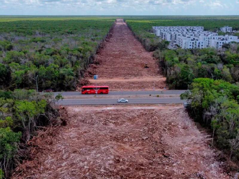 Suspenden de manera definitiva el tramo 5 del Tren Maya