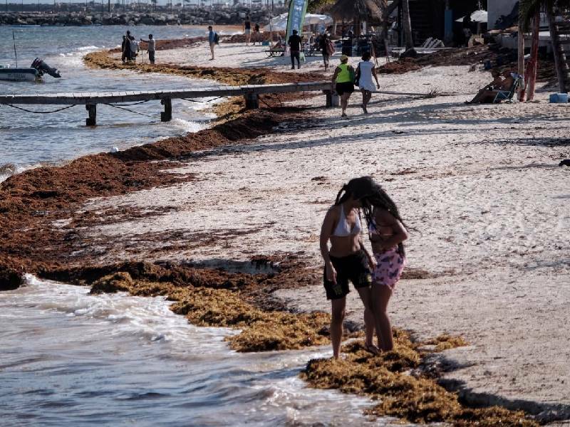 Sector empresarial urge la pronta instalación de barreras para contener sargazo