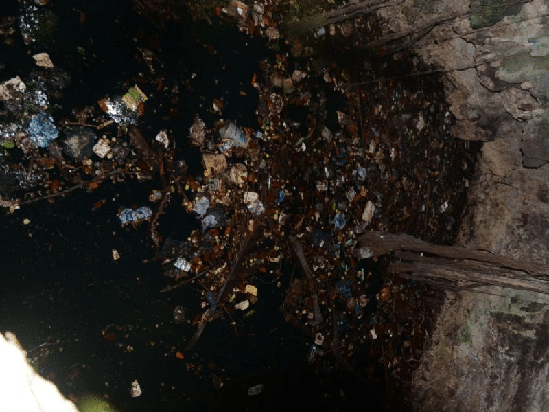 Detectan alta contaminación en cuerpos de agua de Cancún