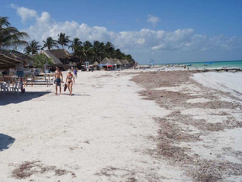Ausencia de Sargazo da un impulso turístico especial a Holbox