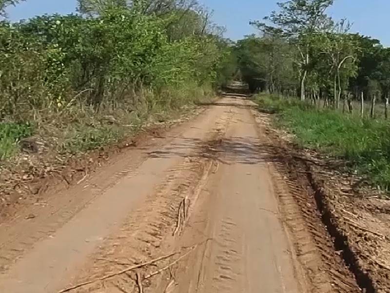 Continúan a la espera de las obras en los caminos saca cosecha