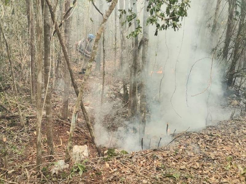 Las lluvias, insuficientes para apagar incendios forestales en Solidaridad