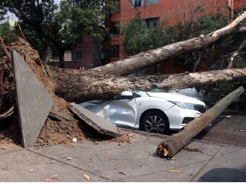 Fuertes vientos dejan más de 70 afectaciones en CDMX