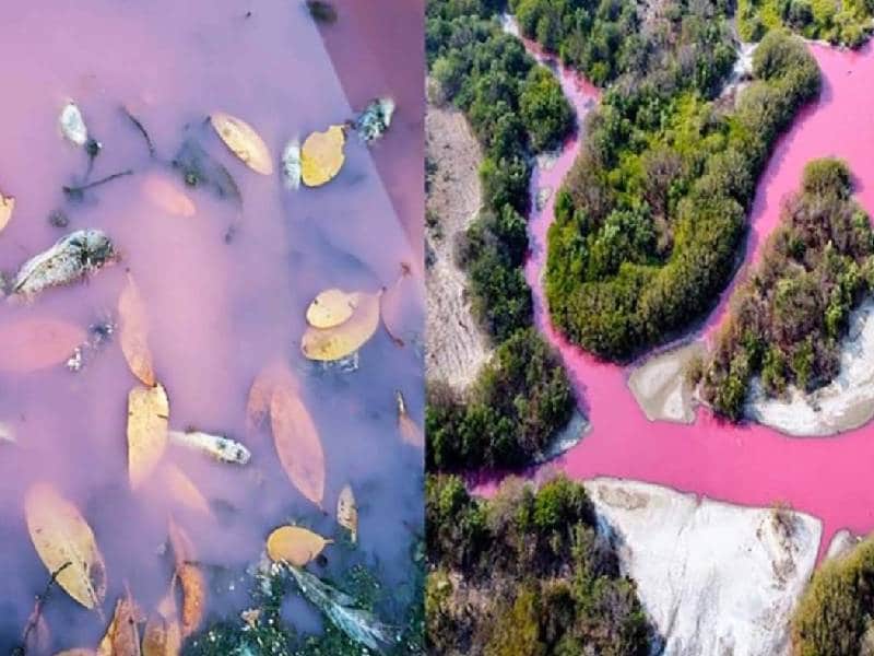 Se tiñe de rosa laguna de Oaxaca